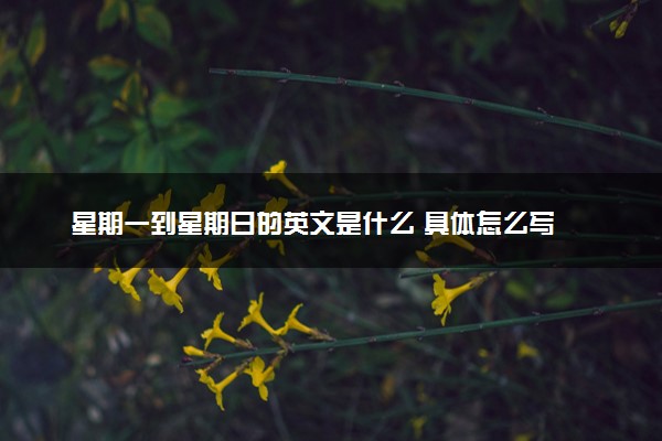 星期一到星期日的英文是什么 具体怎么写