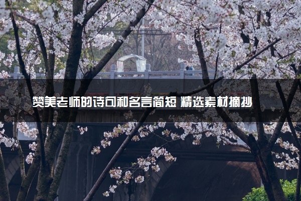 赞美老师的诗句和名言简短 精选素材摘抄