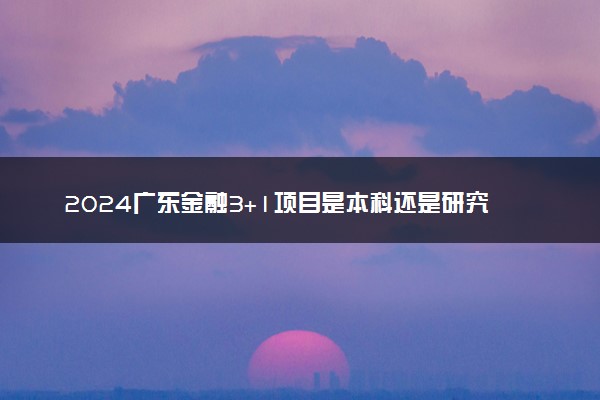 2024广东金融3+1项目是本科还是研究生 具体咋回事