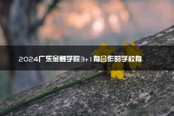 2024广东金融学院3+1有合作的学校有哪些