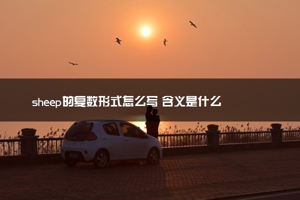 sheep的复数形式怎么写 含义是什么