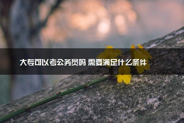 大专可以考公务员吗 需要满足什么条件