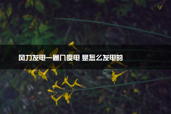 风力发电一圈几度电 是怎么发电的