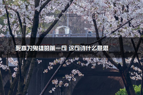 死亦为鬼雄的前一句 这句诗什么意思