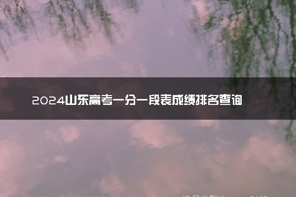 2024山东高考一分一段表成绩排名查询