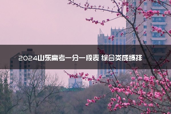2024山东高考一分一段表 综合类成绩排名最新