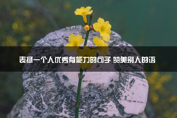 表扬一个人优秀有能力的句子 赞美别人的语句简短