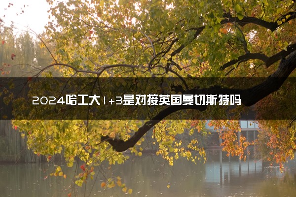 2024哈工大1+3是对接英国曼切斯特吗 留学的优势