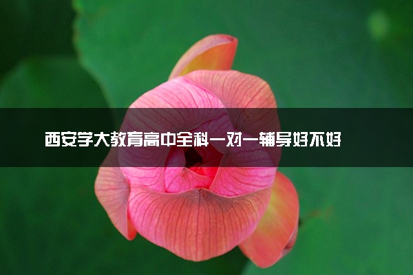 西安学大教育高中全科一对一辅导好不好