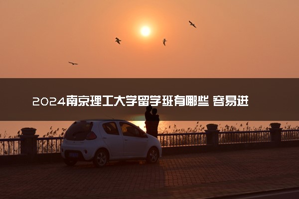 2024南京理工大学留学班有哪些 容易进吗