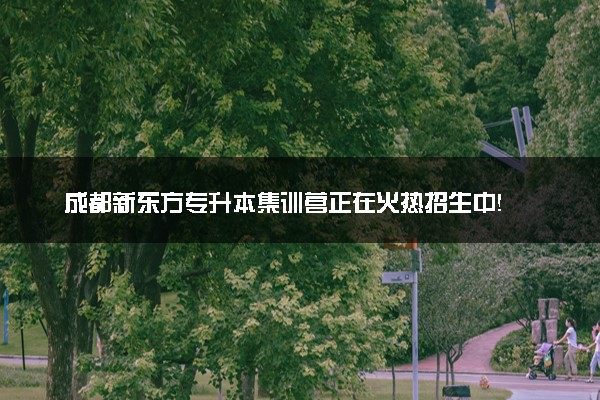 成都新东方专升本集训营正在火热招生中！