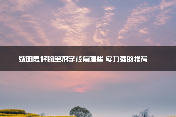 沈阳最好的单招学校有哪些 实力强的推荐