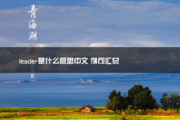 leader是什么意思中文 例句汇总
