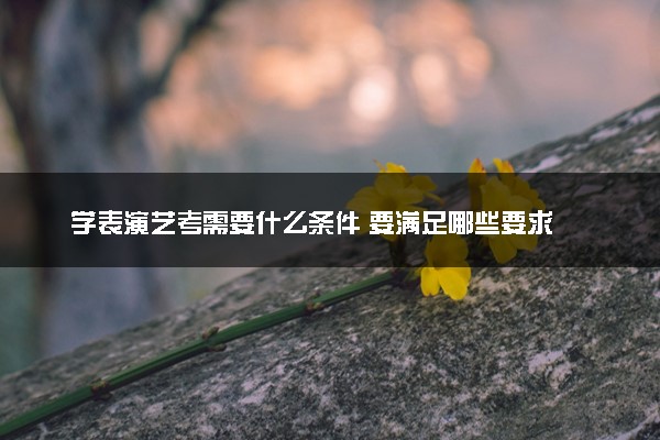 学表演艺考需要什么条件 要满足哪些要求