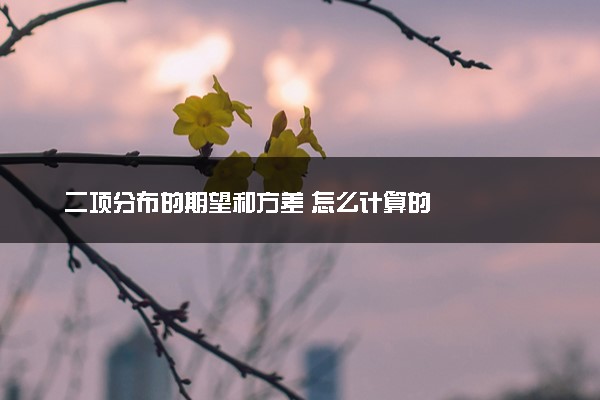 二项分布的期望和方差 怎么计算的