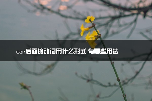can后面的动词用什么形式 有哪些用法
