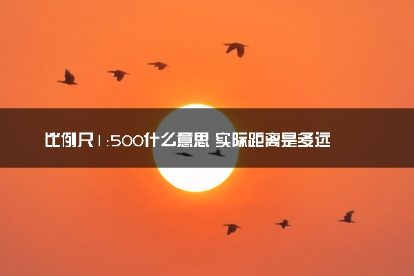 比例尺1:500什么意思 实际距离是多远
