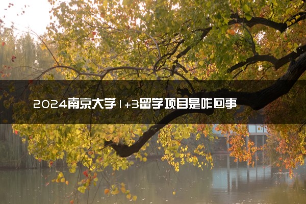 2024南京大学1+3留学项目是咋回事 值得读吗