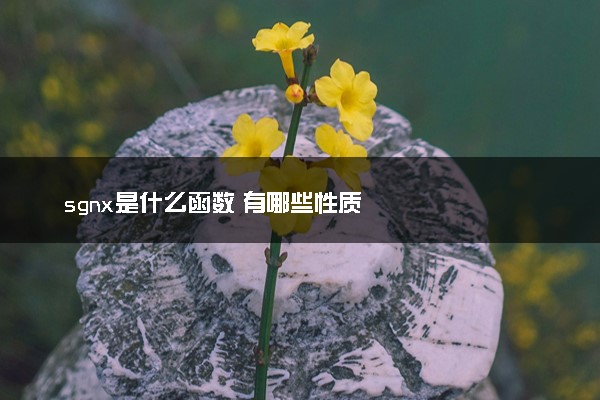 sgnx是什么函数 有哪些性质