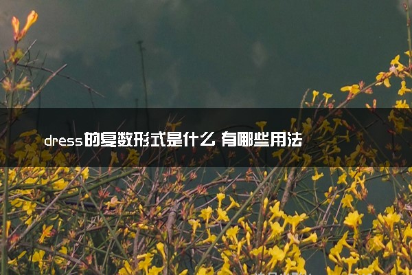 dress的复数形式是什么 有哪些用法