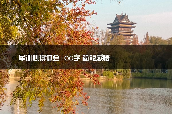 军训心得体会100字 简短感悟