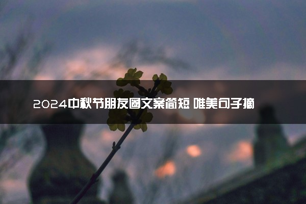 2024中秋节朋友圈文案简短 唯美句子摘抄