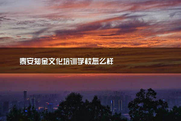 泰安知金文化培训学校怎么样