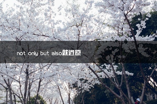 not only but also就近原则 有哪些用法