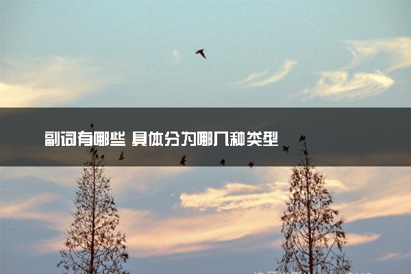副词有哪些 具体分为哪几种类型