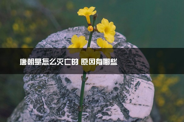 唐朝是怎么灭亡的 原因有哪些