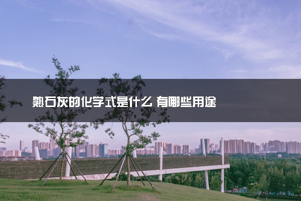 熟石灰的化学式是什么 有哪些用途