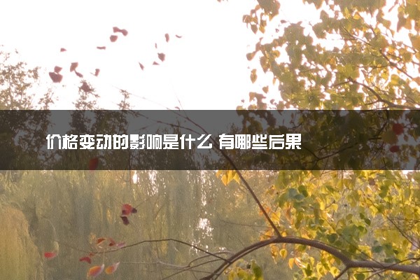 价格变动的影响是什么 有哪些后果