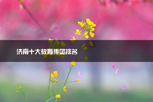 济南十大教育集团排名