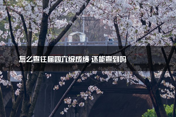 怎么查往届四六级成绩 还能查到吗