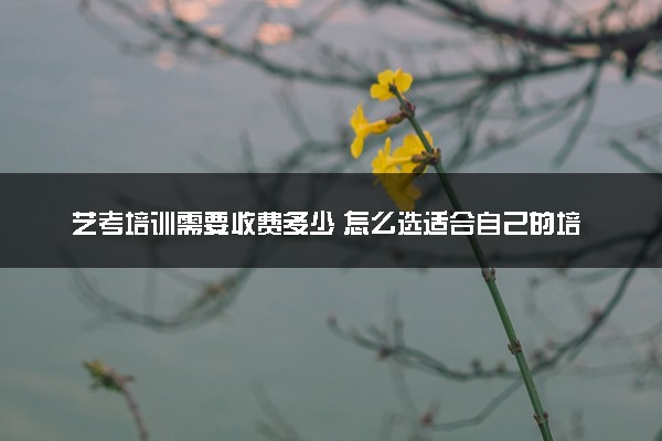 艺考培训需要收费多少 怎么选适合自己的培训机构