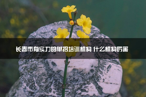 长春市有实力的单招培训机构 什么机构厉害