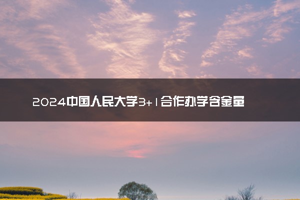 2024中国人民大学3+1合作办学含金量高吗 读完干什么