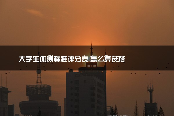 大学生体测标准评分表 怎么算及格