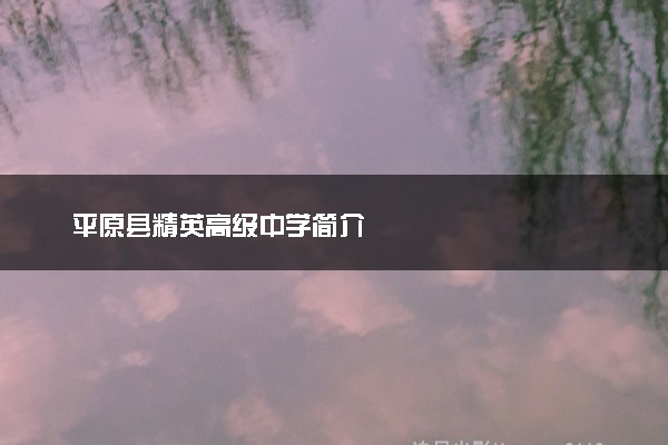 平原县精英高级中学简介