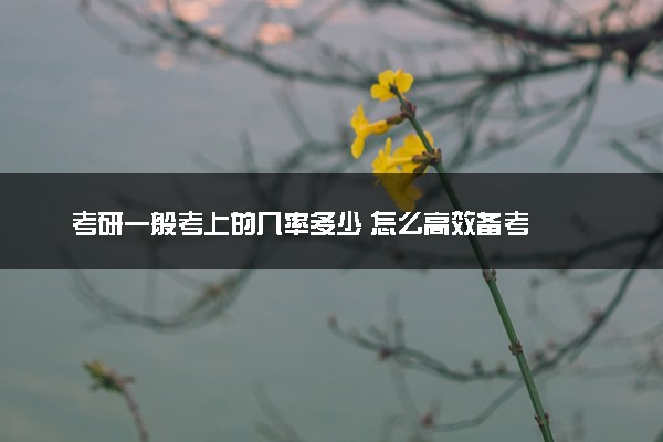 考研一般考上的几率多少 怎么高效备考