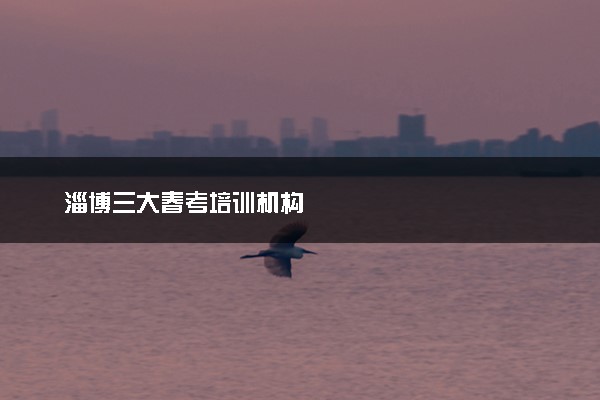 淄博三大春考培训机构