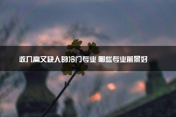 收入高又缺人的冷门专业 哪些专业前景好