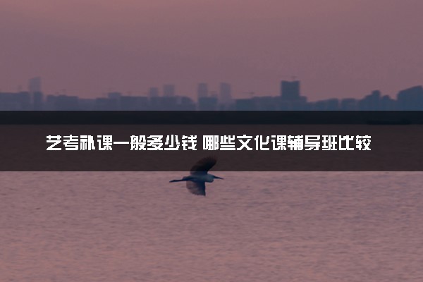 艺考补课一般多少钱 哪些文化课辅导班比较好