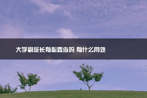 大学副班长有必要当吗 有什么用处