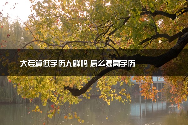大专算低学历人群吗 怎么提高学历