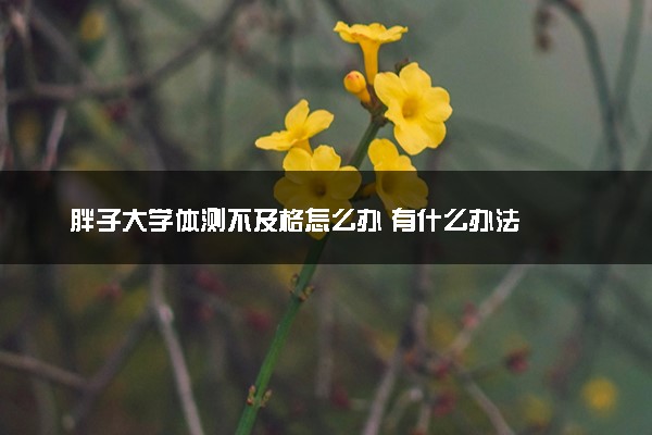 胖子大学体测不及格怎么办 有什么办法