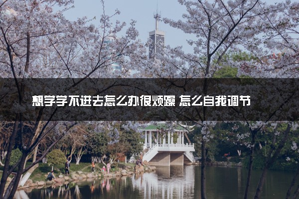 想学学不进去怎么办很烦躁 怎么自我调节