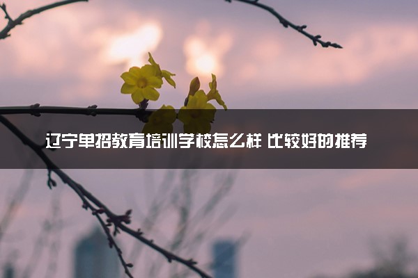 辽宁单招教育培训学校怎么样 比较好的推荐