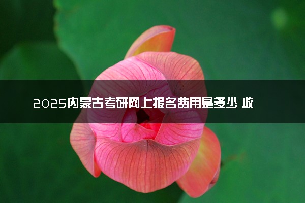 2025内蒙古考研网上报名费用是多少 收费标准是什么