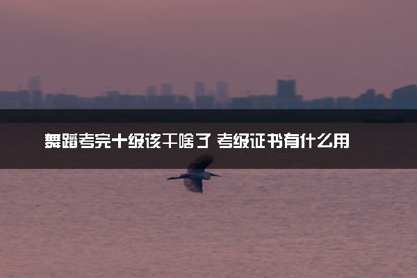 舞蹈考完十级该干啥了 考级证书有什么用